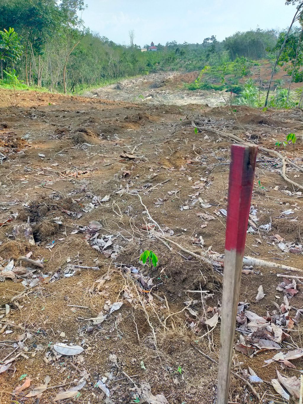 foto posisi tengah perumahan RAJA PROPERTY 2