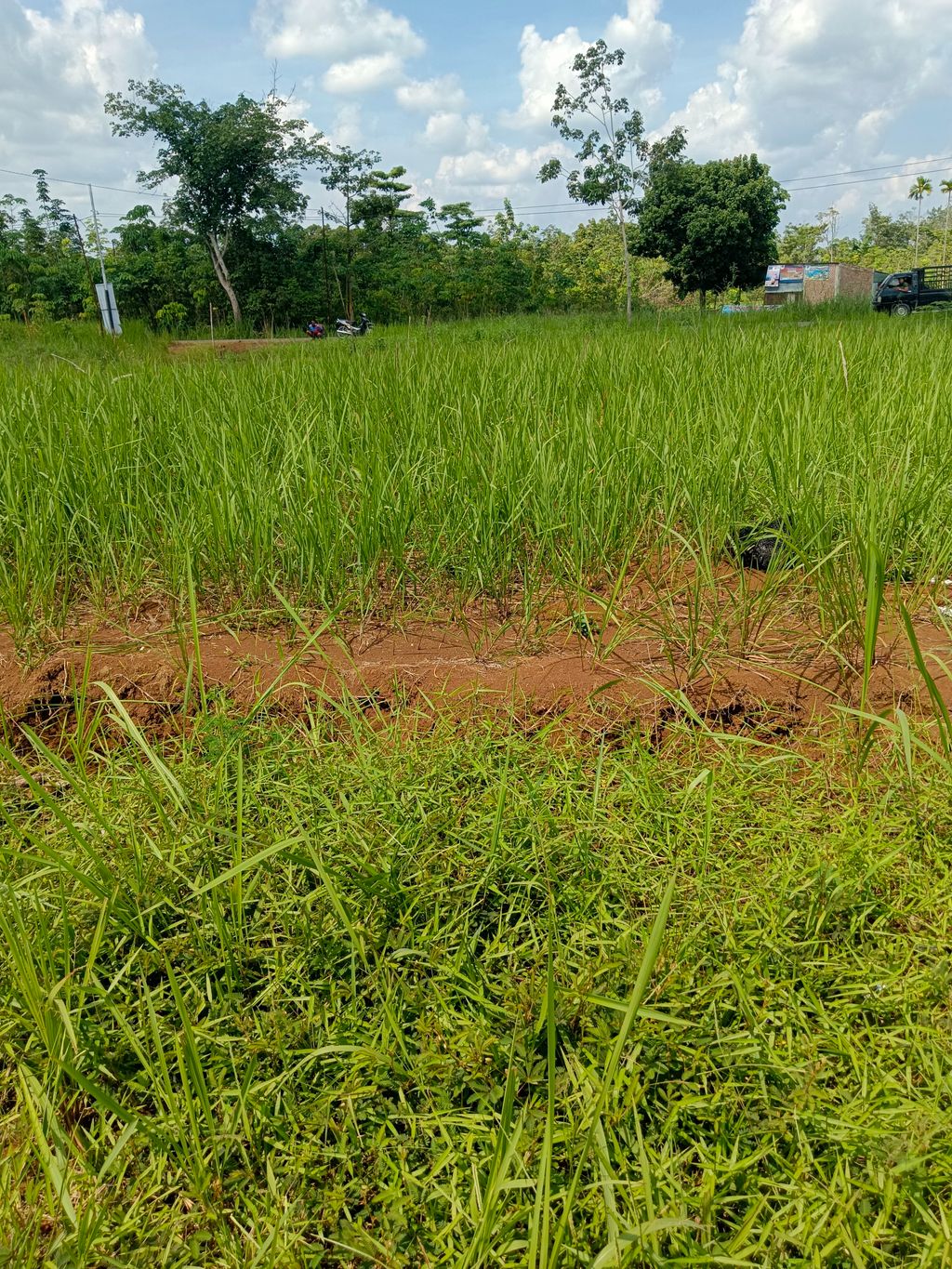 foto posisi tengah perumahan Bersama Permai 2