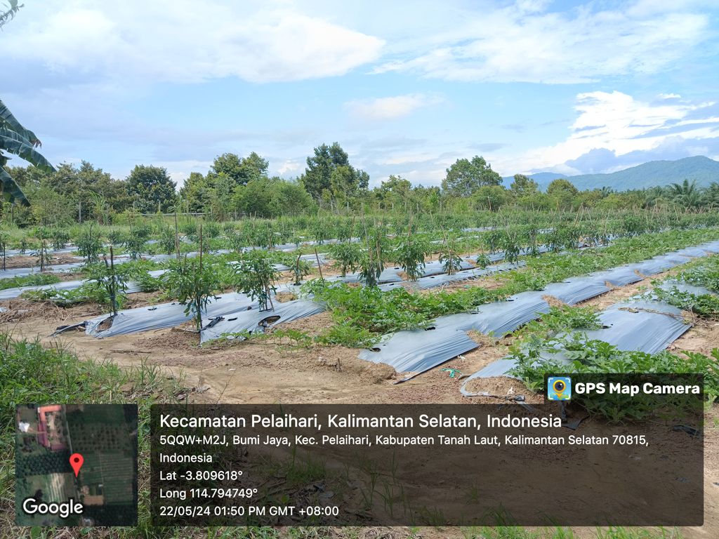 foto posisi tengah perumahan ANUGERAH RESIDENCE 4 TAHAP-1