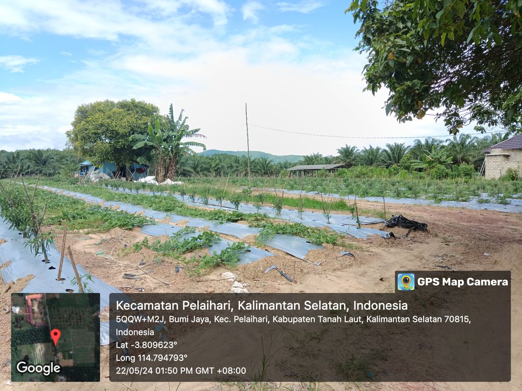 foto contoh rumah perumahan ANUGERAH RESIDENCE 4 TAHAP-1