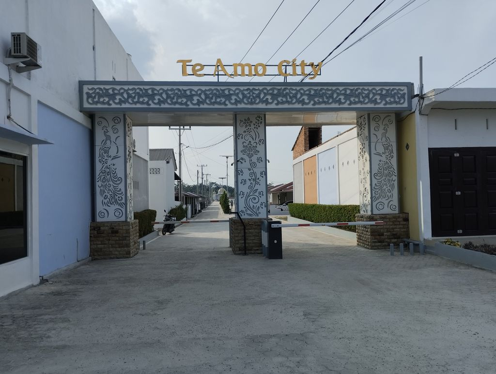 foto gerbang perumahan TE AMO CITY II