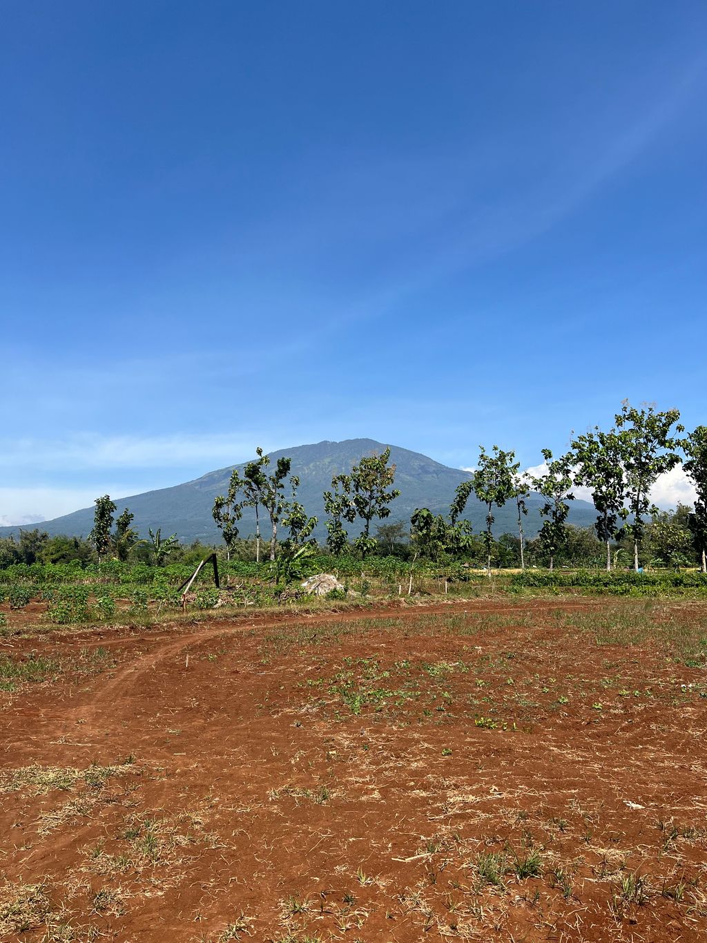 foto gerbang perumahan Amerta Bumi Jogorogo