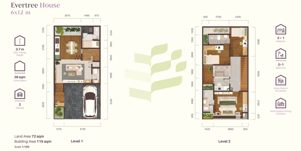 foto denah rumah tipe 6 x 12 perumahan EVERTREE HOUSE