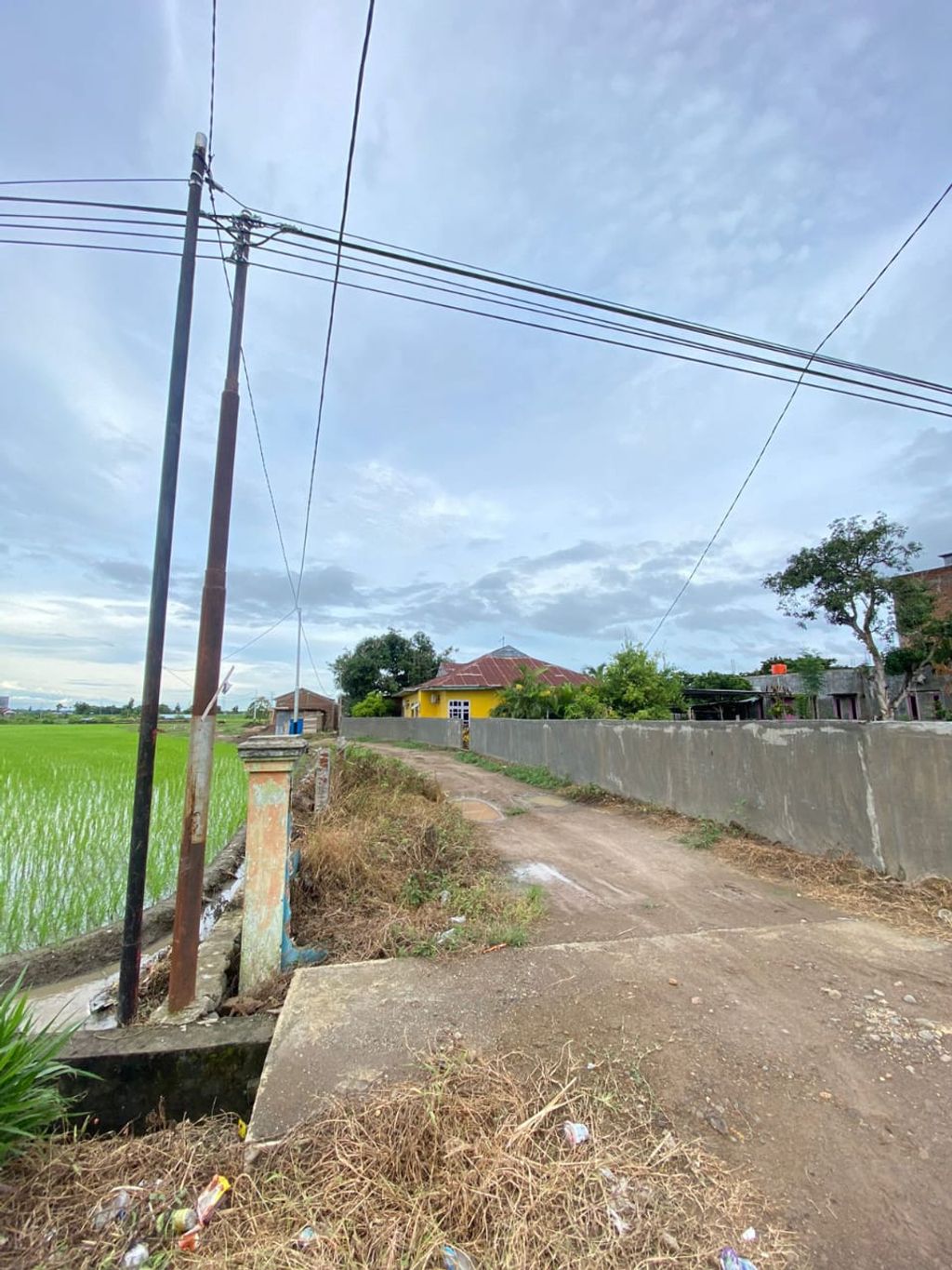foto gerbang perumahan ALICE GARDEN 6