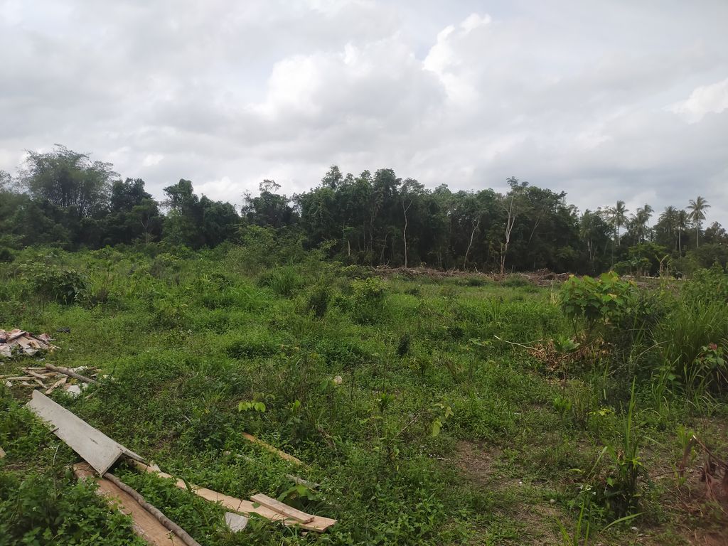 foto posisi tengah perumahan PERUMAHAN JOY INDAH PERMAI 2