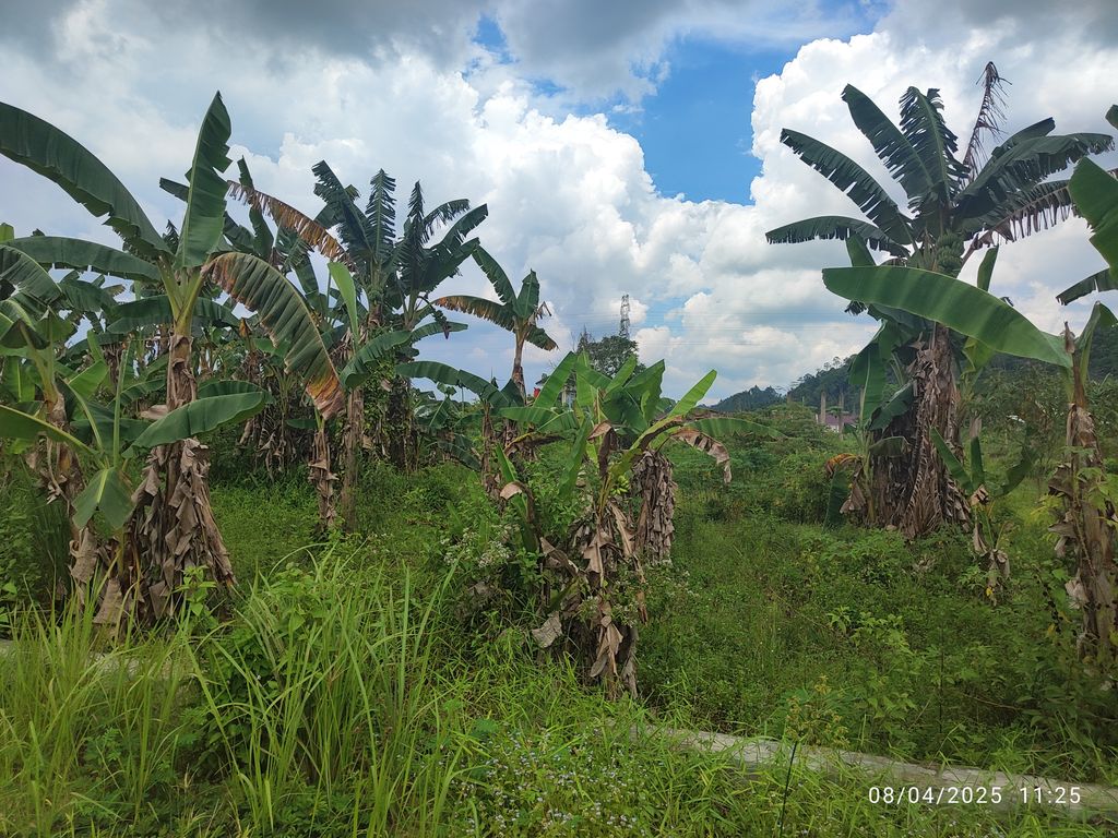 foto posisi tengah perumahan PARAS ICON