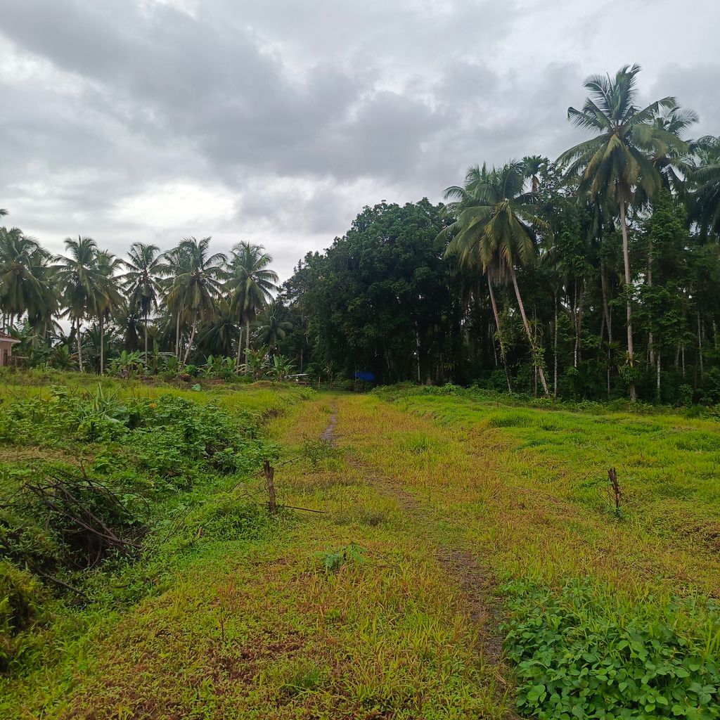 foto posisi tengah perumahan PIALA RESIDENCE