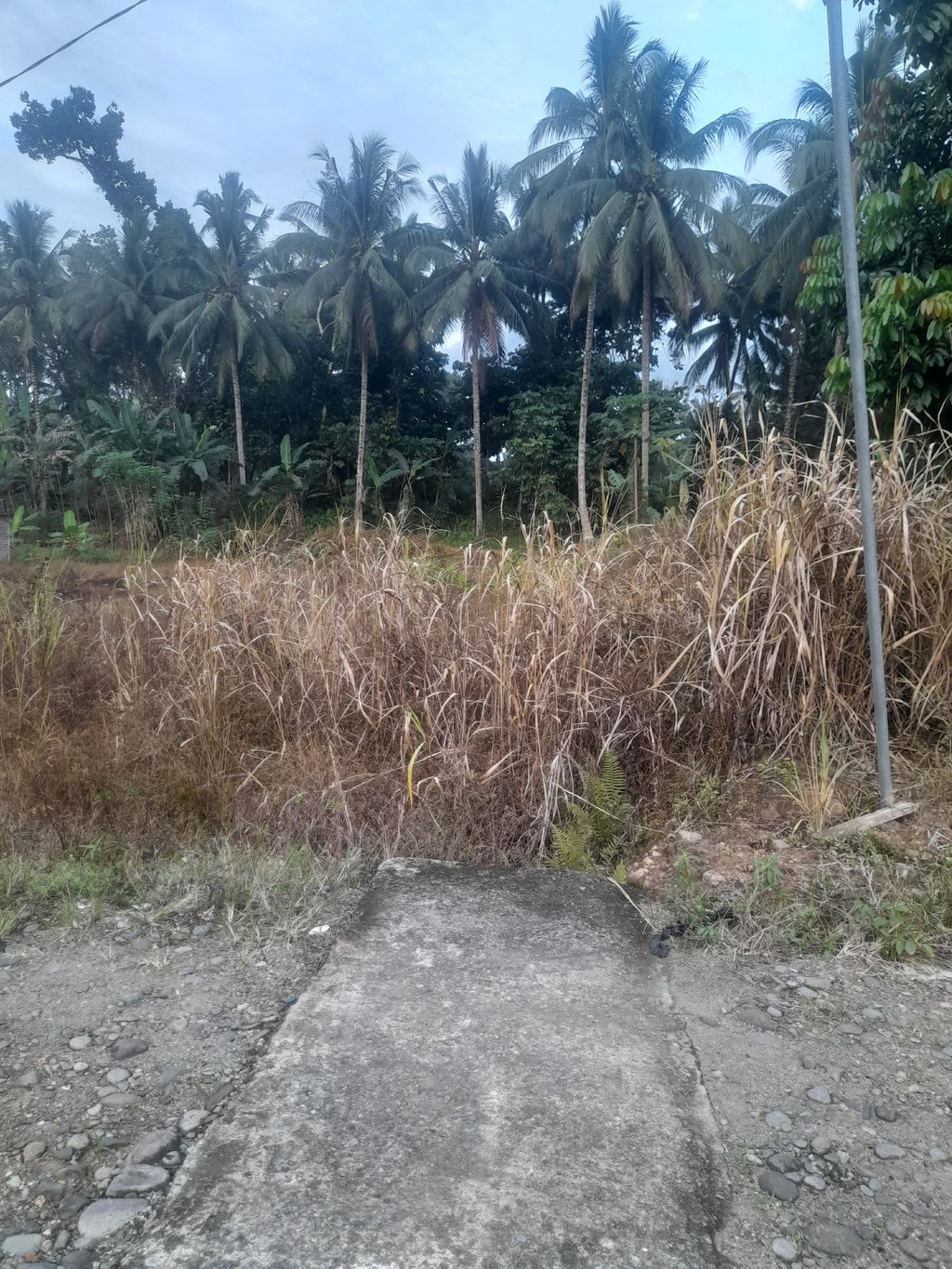 foto posisi tengah perumahan PERUMAHAN GRIYA LANUR BUNGKO