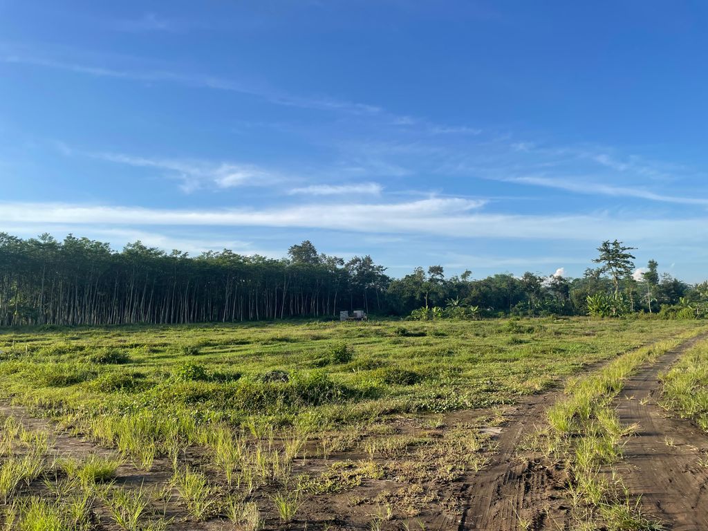 foto posisi tengah perumahan PERMATA JINGGA RESIDENCE