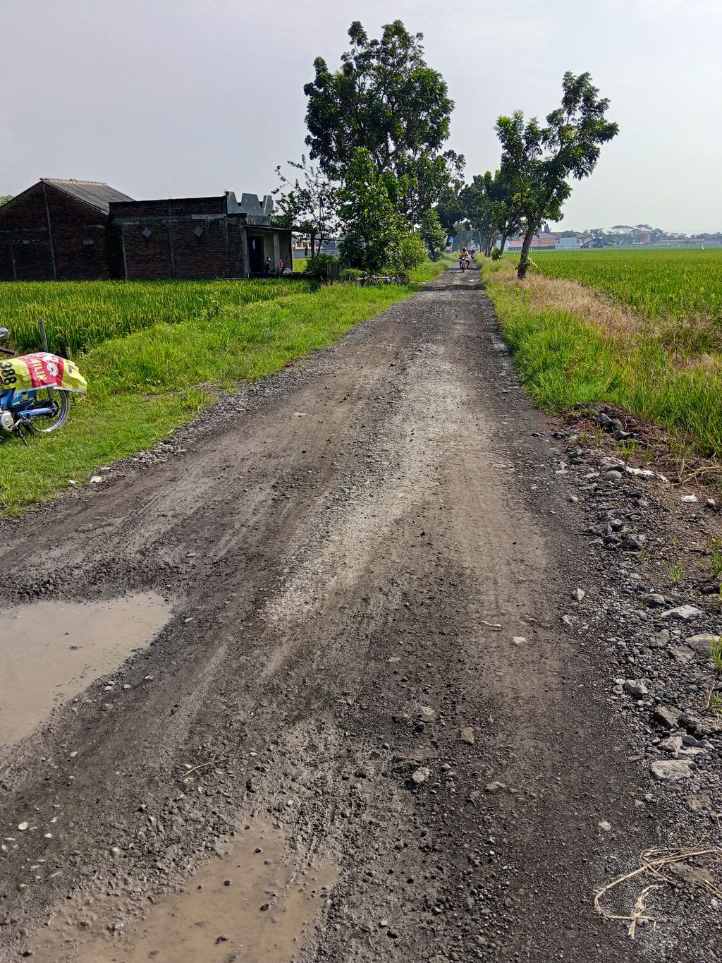 foto gerbang perumahan Pemalang Indah Regency 14