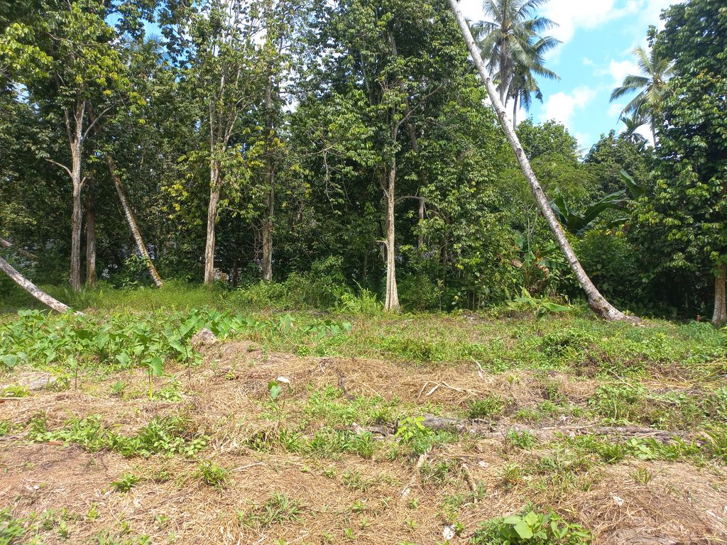 foto contoh rumah perumahan SKYE LAND