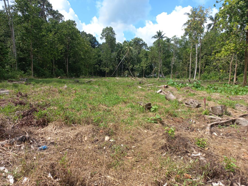 foto posisi tengah perumahan SKYE LAND