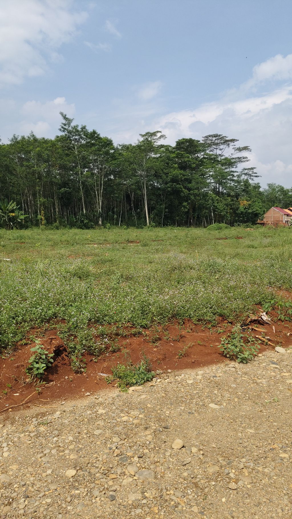 foto posisi tengah perumahan GRIYA BAHTERA 6