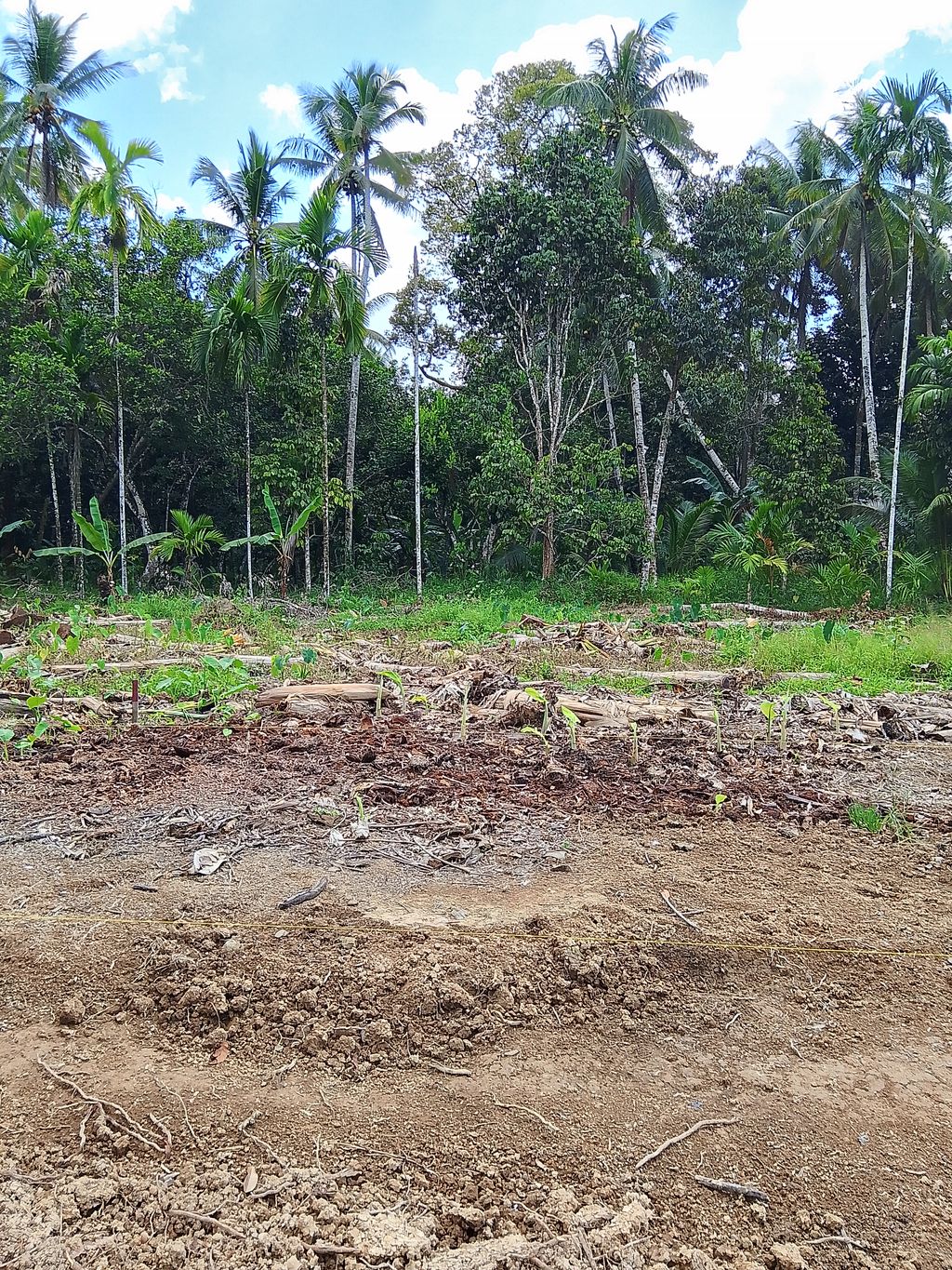 foto contoh rumah perumahan ANUGRAH REGENCY III