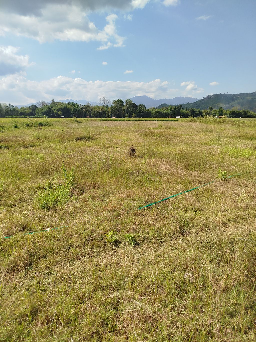 foto posisi tengah perumahan Puri Asri Residence
