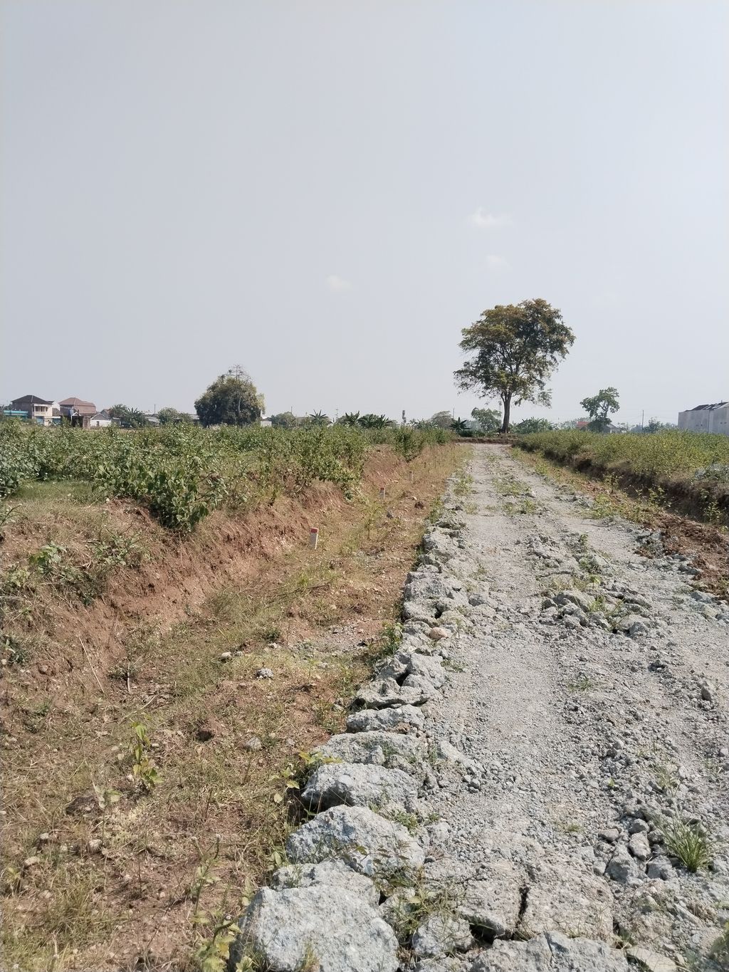 foto posisi tengah perumahan PERUMAHAN GRIYA KAHURIPAN JATEN 2