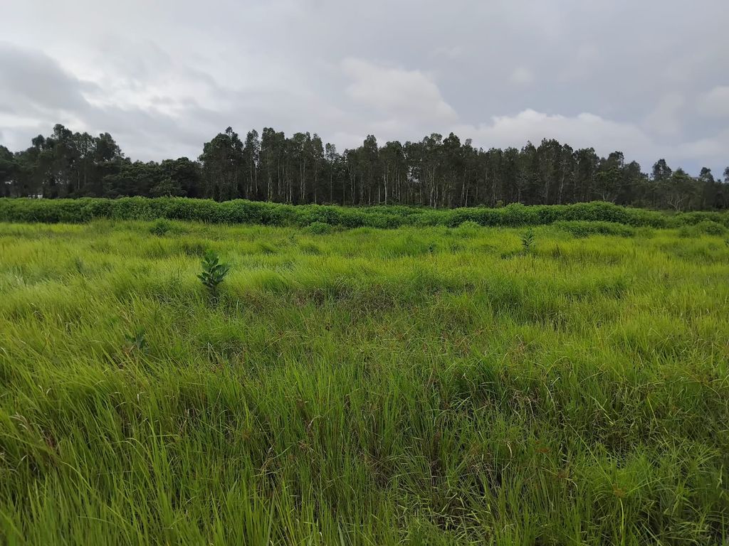 foto posisi tengah perumahan GRAHA JONE RESIDENCE