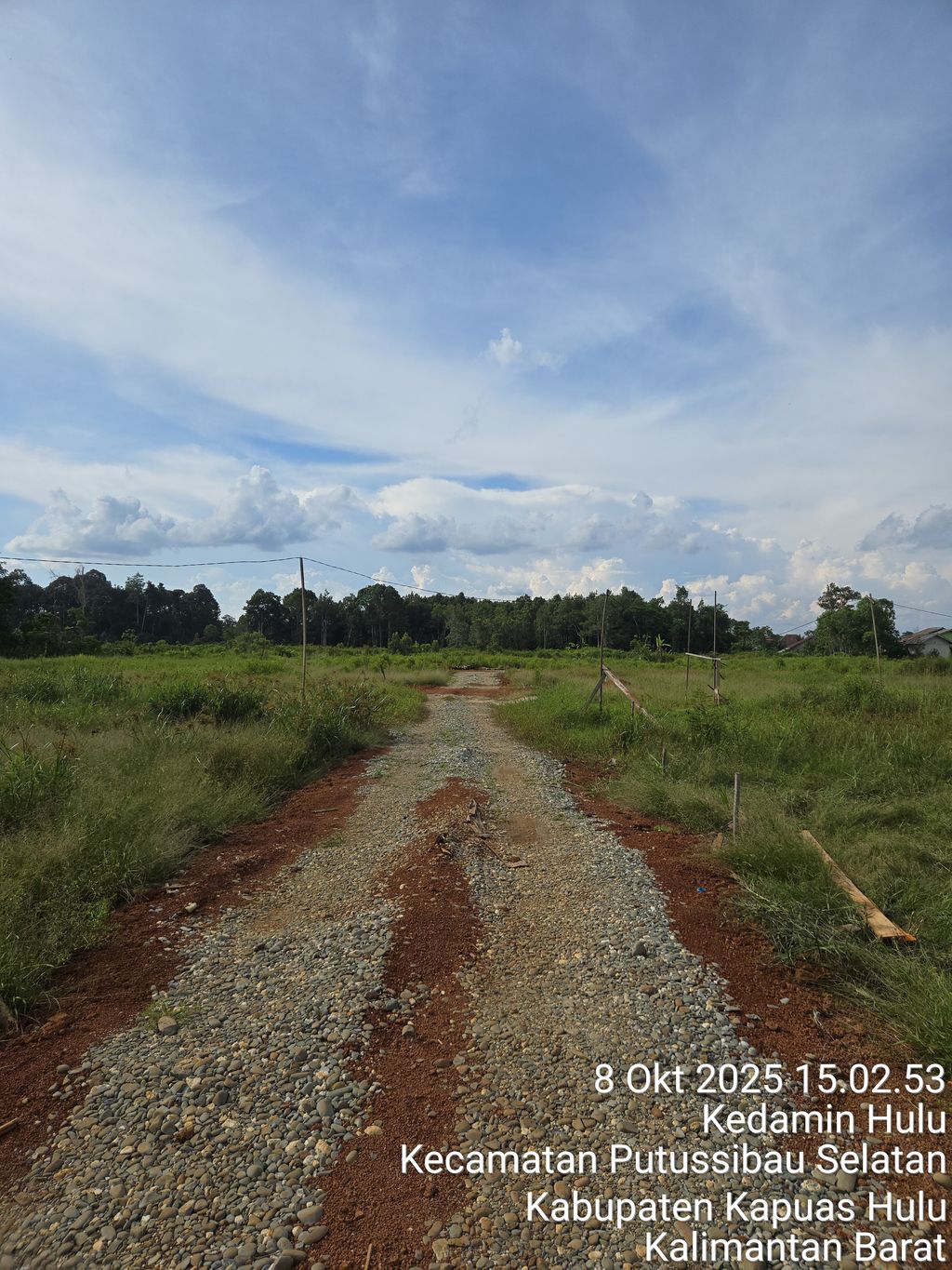 foto posisi tengah perumahan PERUMAHAN PESONA ICON KEDAMIN