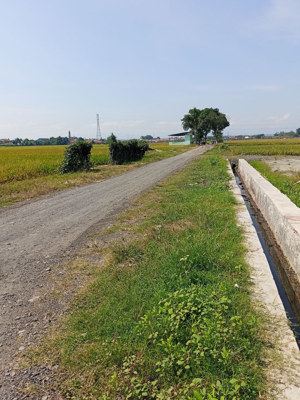 foto gerbang perumahan PEMALANG INDAH REGENCY 15