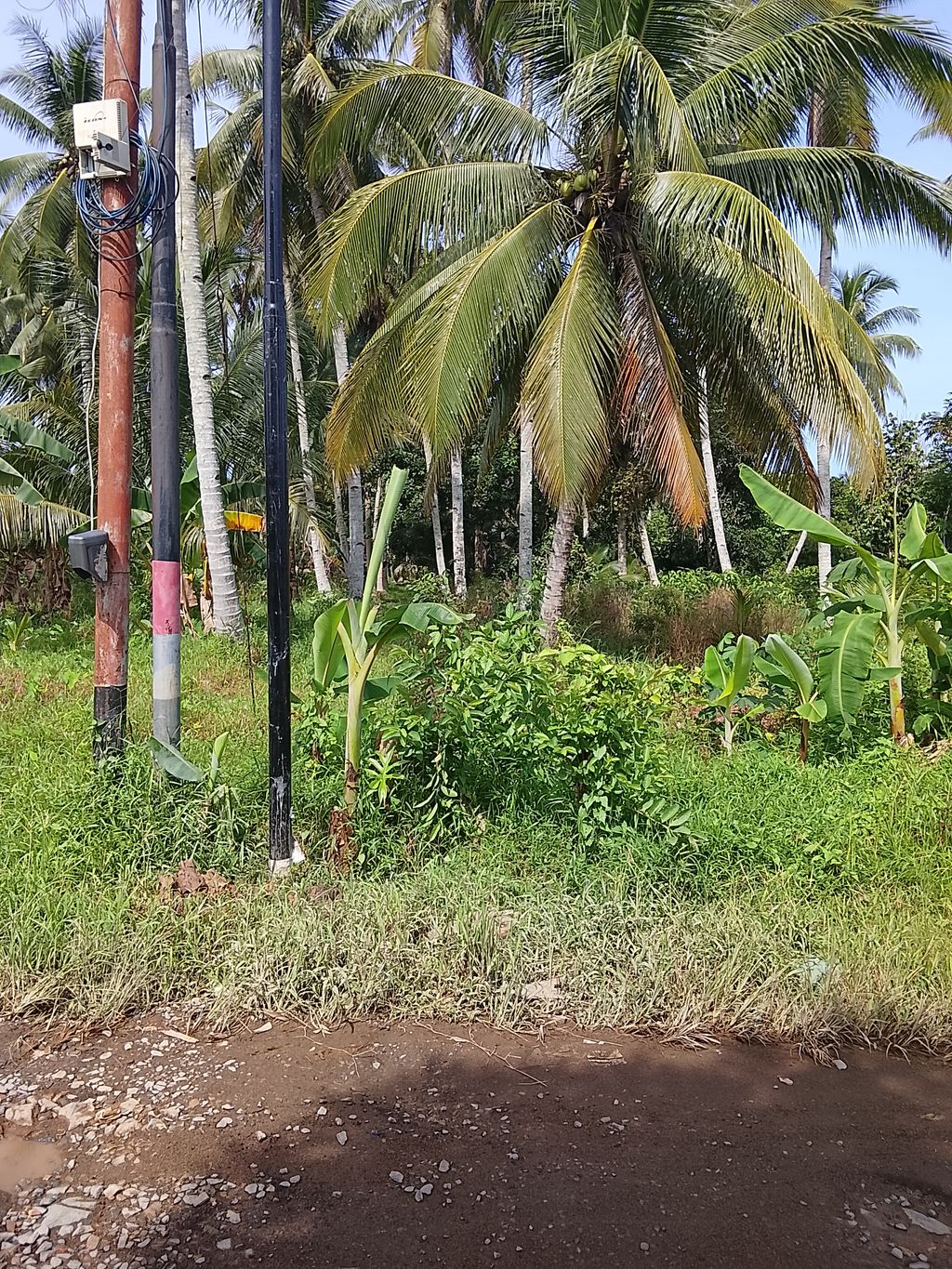 foto gerbang perumahan MUTIARA ALAM SEMESTA 3