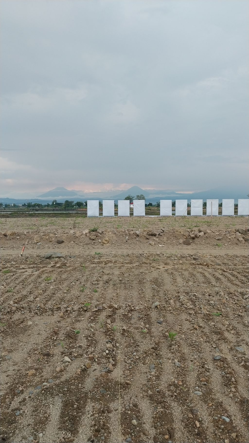foto posisi tengah perumahan PERUMAHAN KENDAL CITY RESIDENCE CLUSTER AKASIA