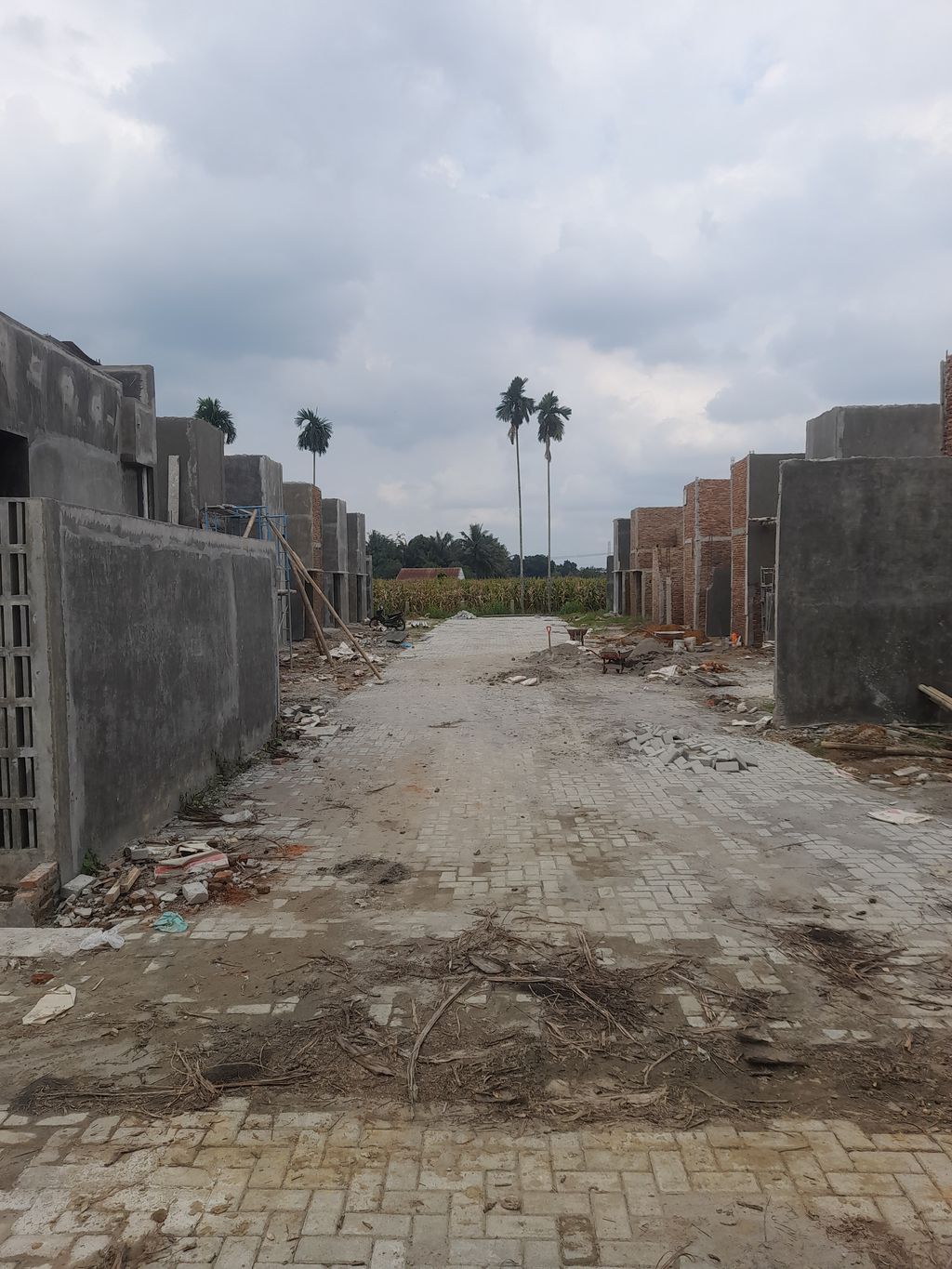 foto posisi tengah perumahan IRON WOOD HOMES