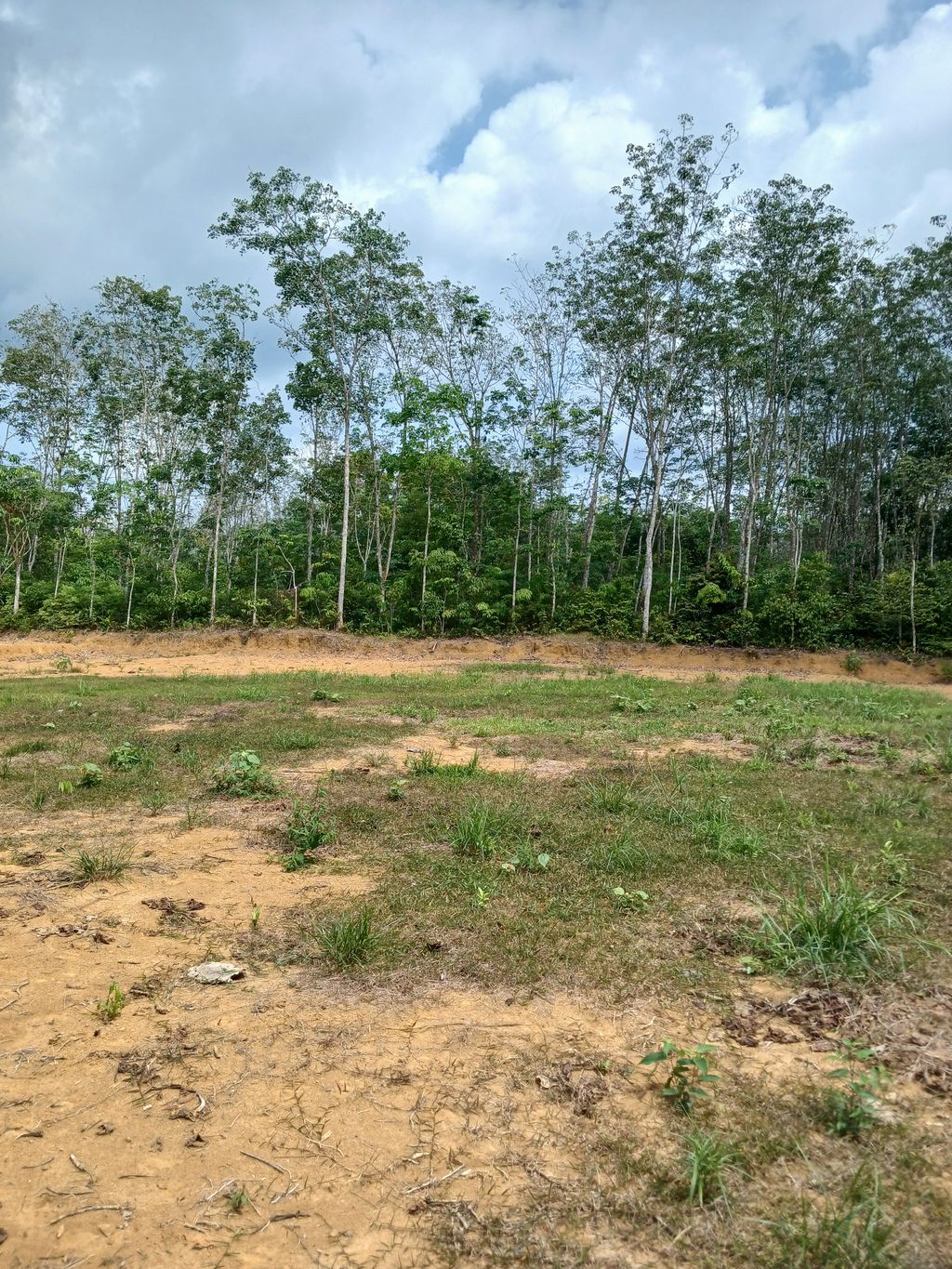 foto posisi tengah perumahan MUTIA AZZAHRA RESIDENCE