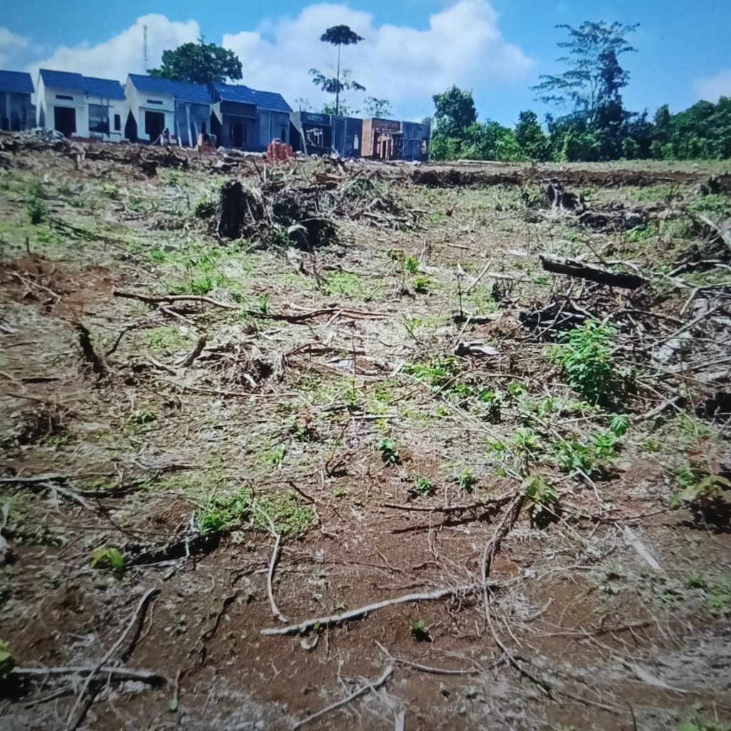 foto posisi tengah perumahan PARAGON RESIDENCE